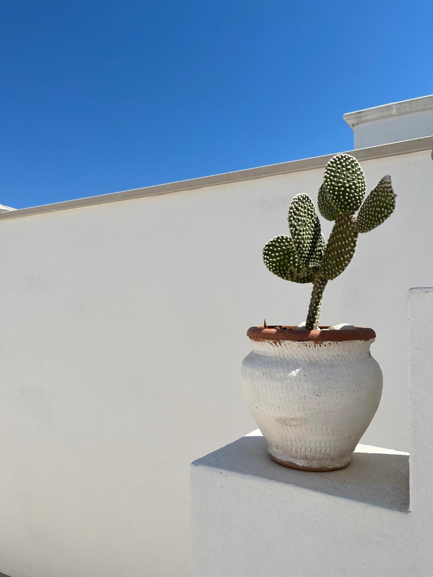 El-Mar Locazione Turistica House With Exclusive Terrace Apartamento Polignano a Mare Exterior foto